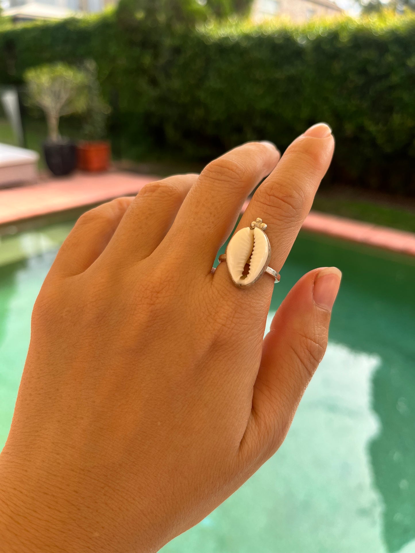 Cowrie Sunshine