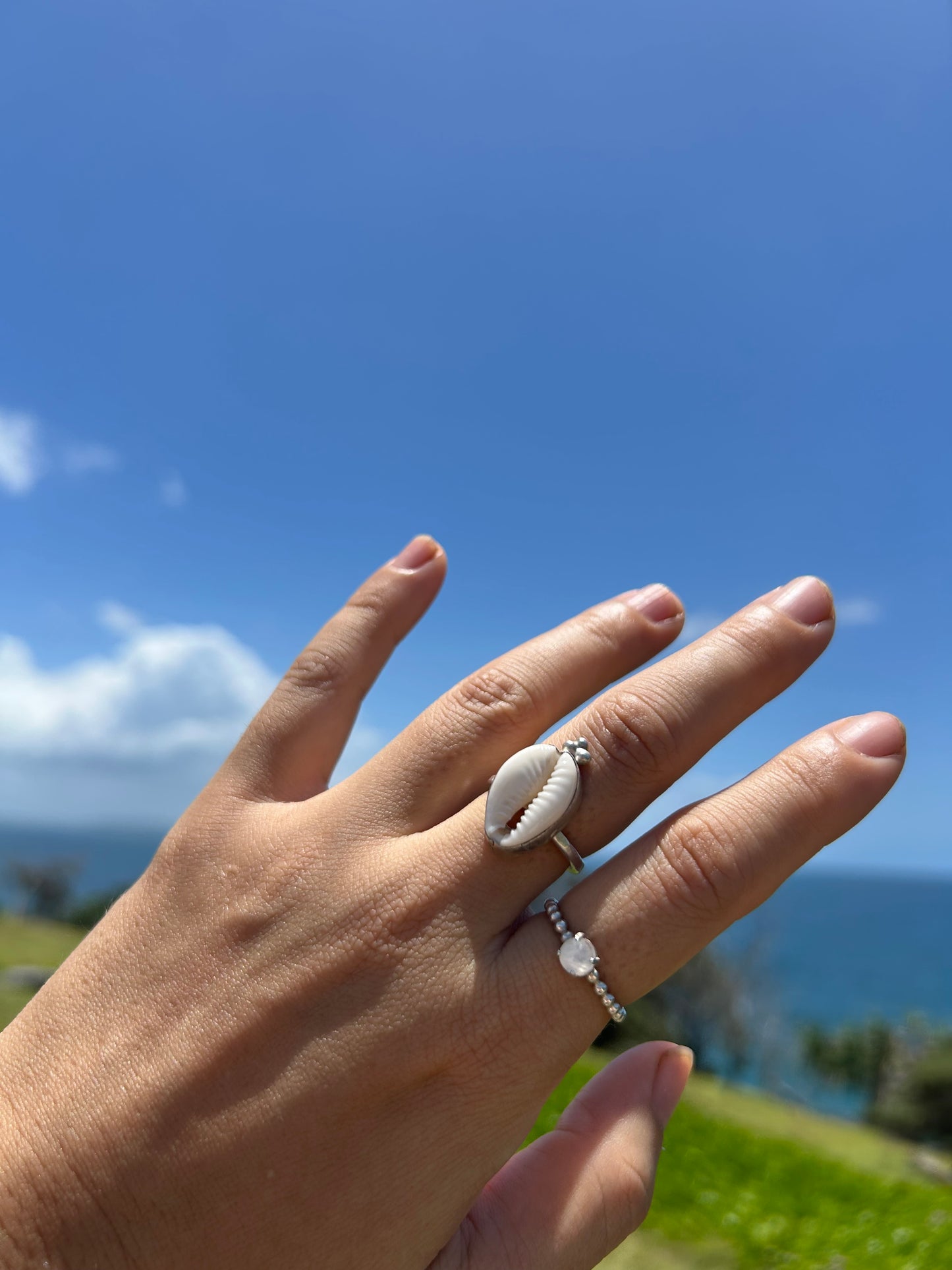 Cowrie Sunshine